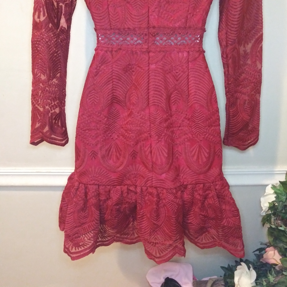 Xenia Boutique Sexy Burgundy Embroidered Net Ruffled Hem Mini Dress - Picture 10 of 16
